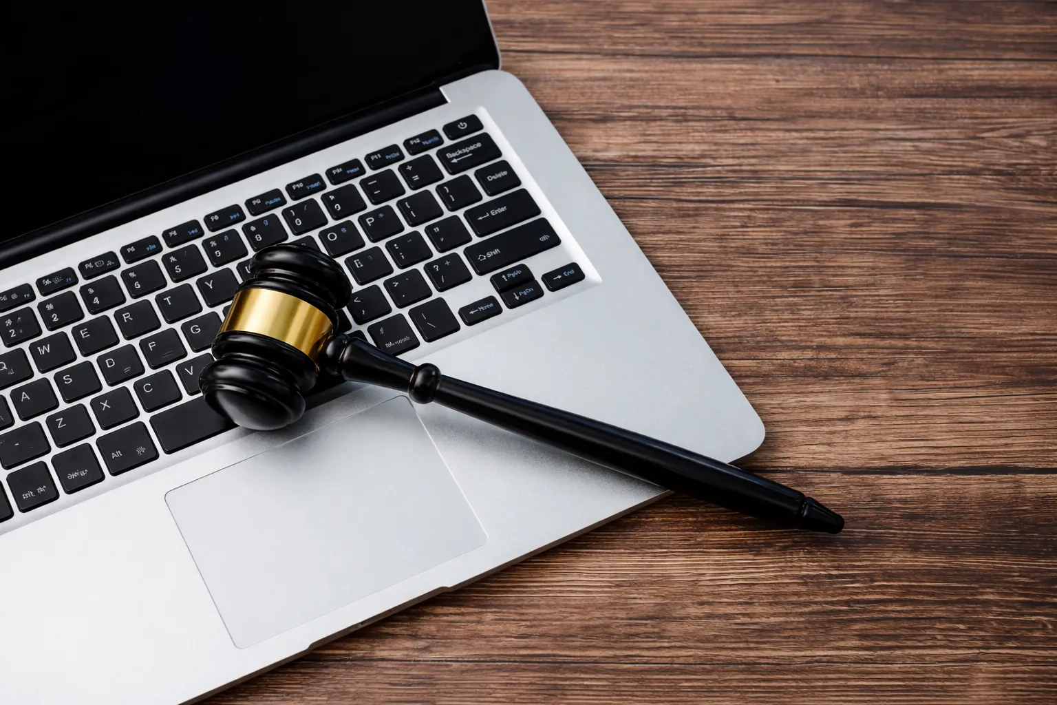 저작권소송 저작권자 저작권 복제권 전송권