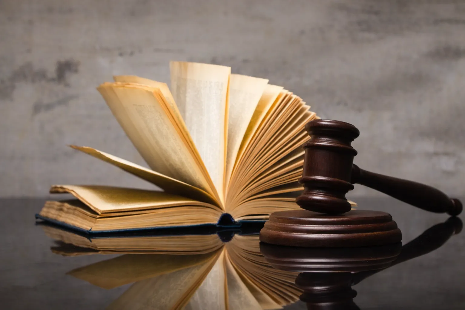 저작권소송 저작권자 저작권 복제권 전송권