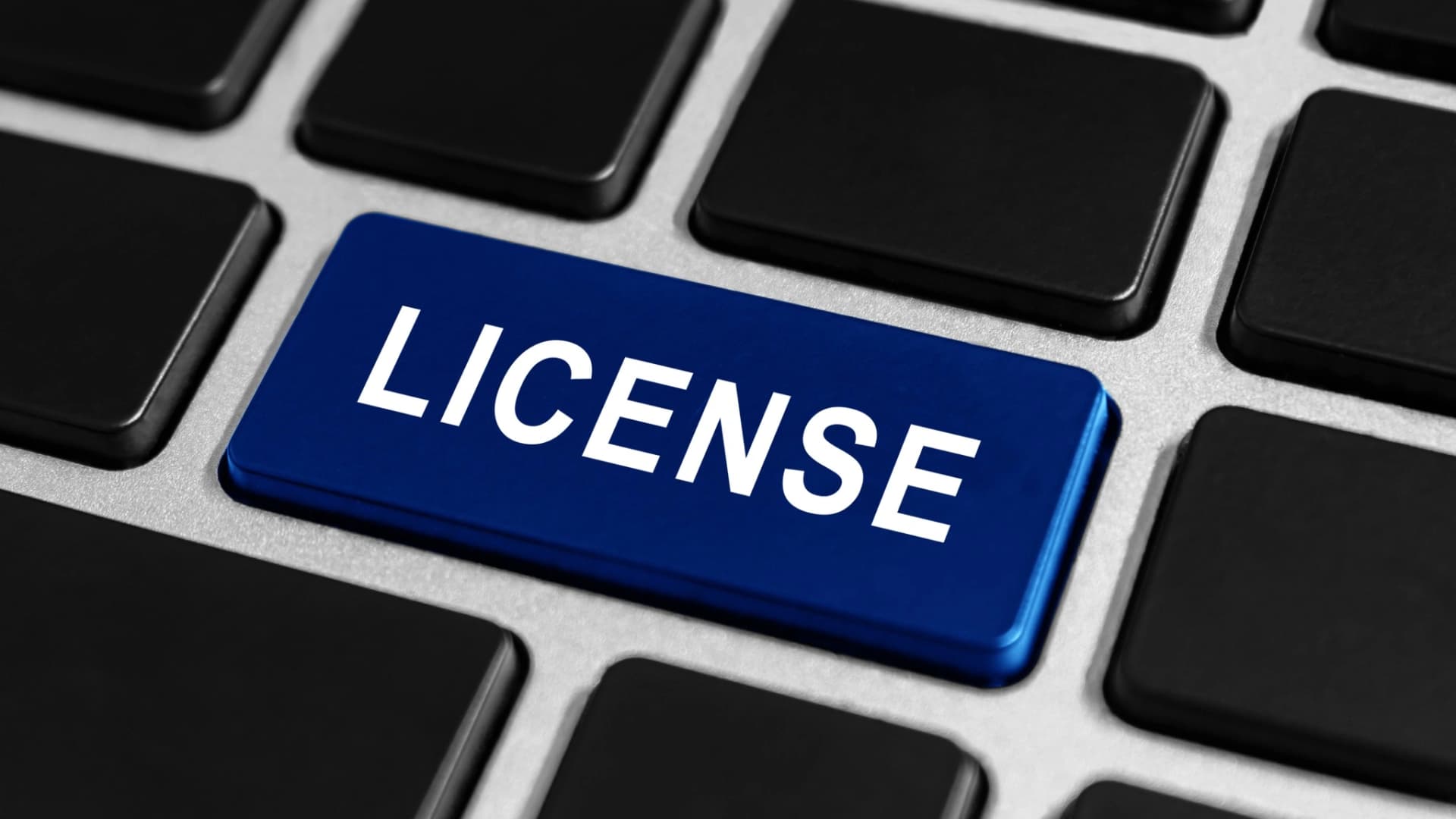 저작권침해소송 저작권 보호 기간 기준