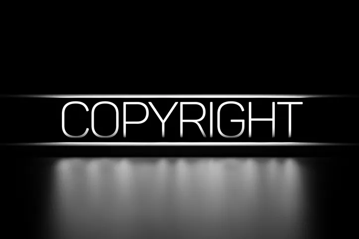 지식재산권침해개념 | 기본 구조