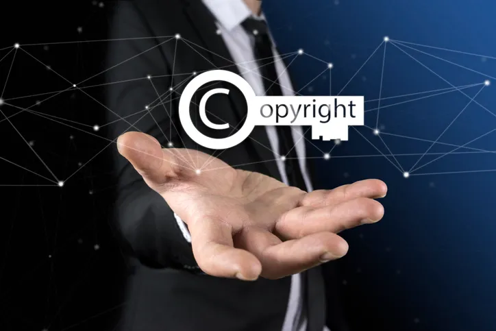 지식재산권침해개념 | 실제 문제되는 상황